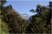 05 - Milford Sound (21) - Routeburn Track